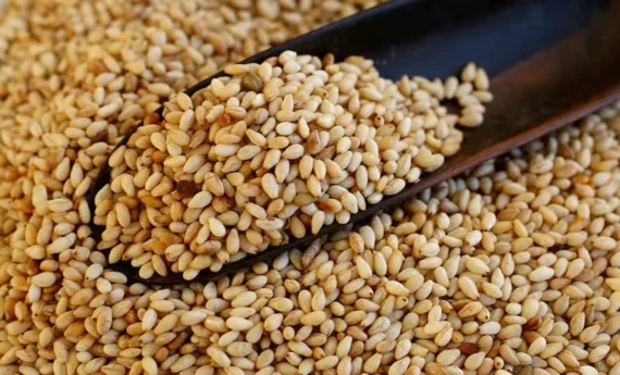 Sesame-seeds